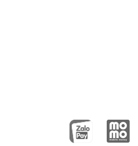 đối tác thanh toán 100VIP